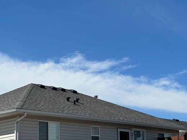 Best Hot Roofs  in Perryville, MO